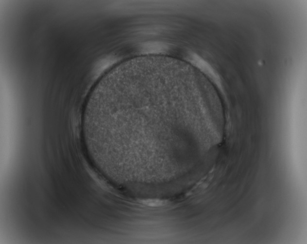 X0000085260107200703301841