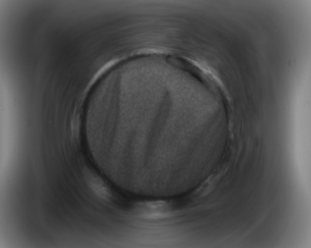 X0000085260108200703301841