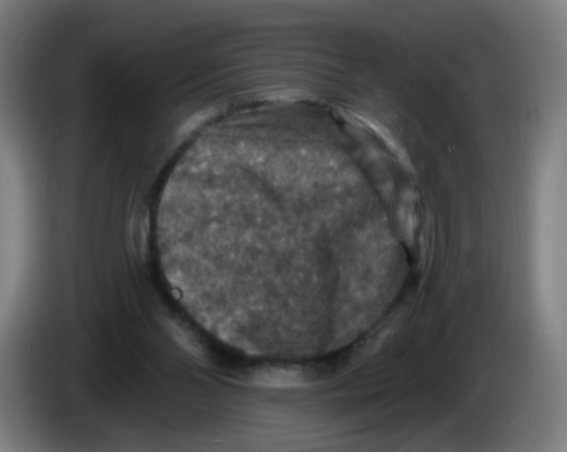 X0000085260110200703301841