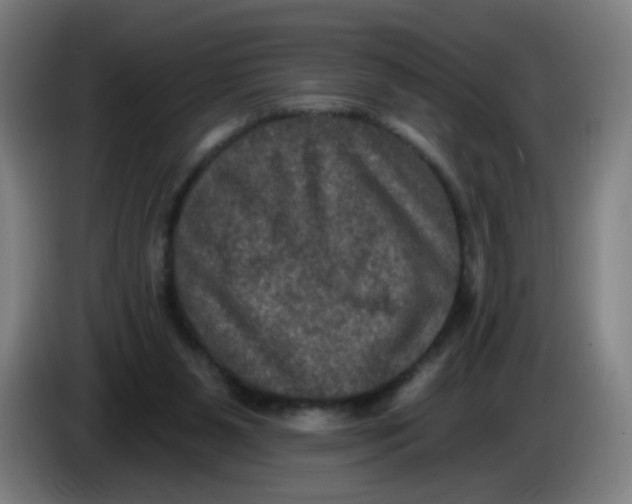 X0000085260111200703301841