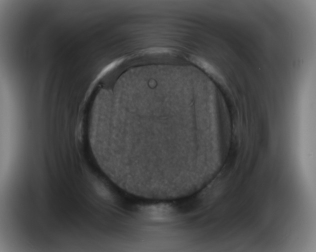 X0000085260112200703301841