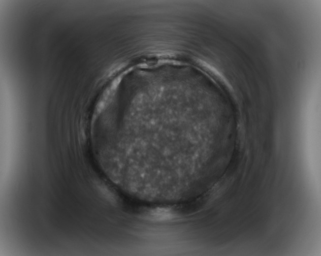 X0000085260114200703301841