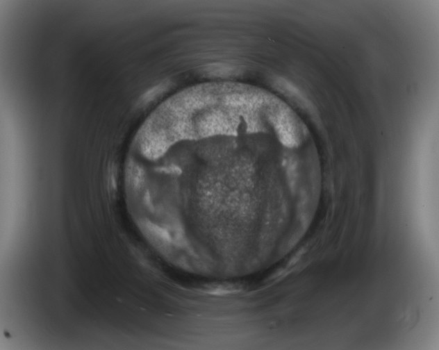 X0000085260115200703301841