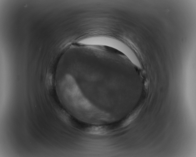 X0000085260117200703301841