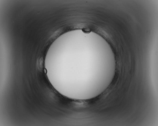 X0000085260118200703301841