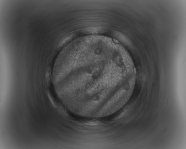 X0000085260119200703301841