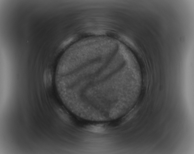 X0000085260120200703301841