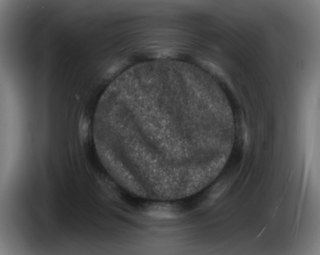 X0000085260123200703301841