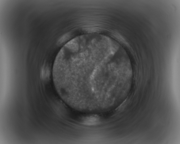 X0000085260124200703301841