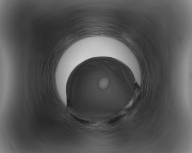 X0000085260125200703301841