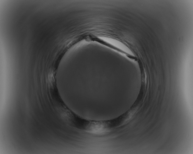 X0000085260127200703301841