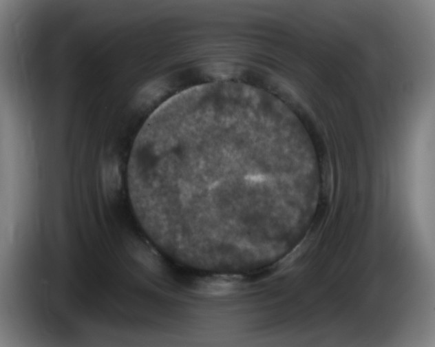 X0000085260128200703301841