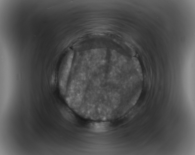 X0000085260134200703301841