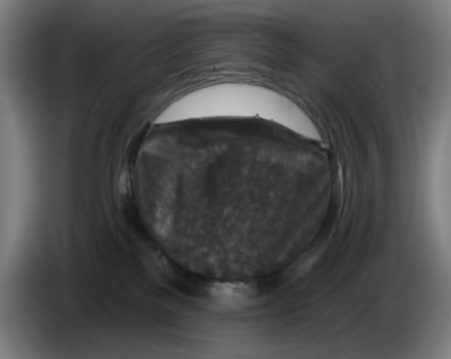 X0000085260137200703301841