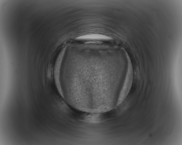 X0000085260138200703301841