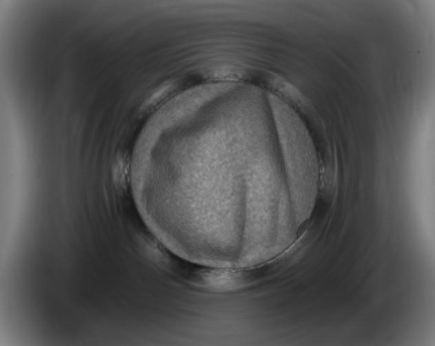 X0000085260142200703301841