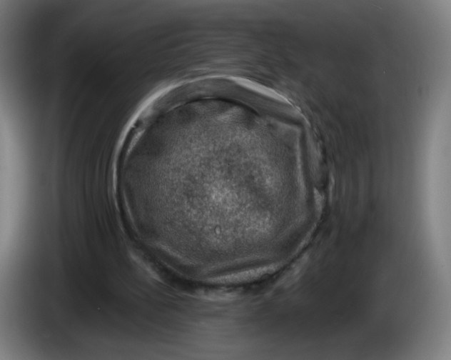 X0000085260148200703301840