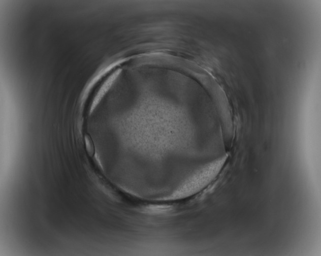 X0000085260150200703301840