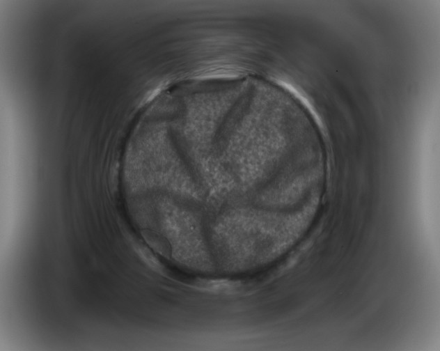 X0000085260153200703301840