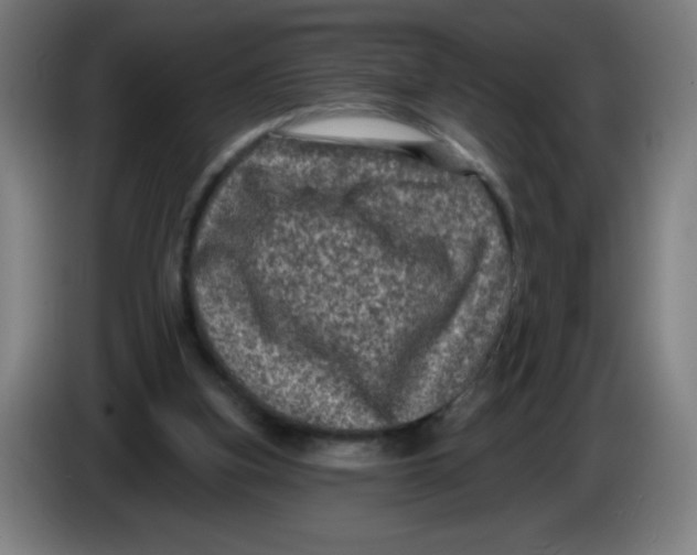 X0000085260155200703301840