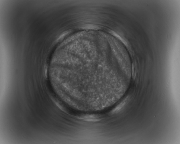 X0000085260157200703301840