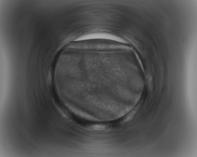 X0000085260158200703301840