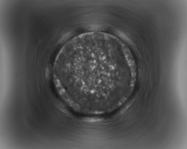 X0000085260165200703301840