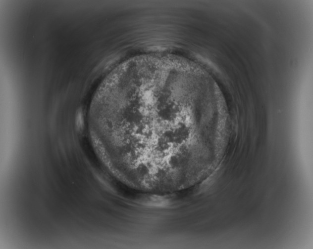 X0000085260166200703301840