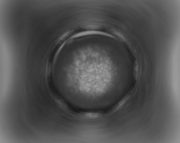 X0000085260168200703301840