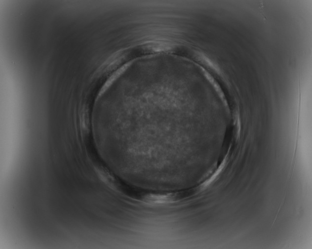 X0000085260170200703301840