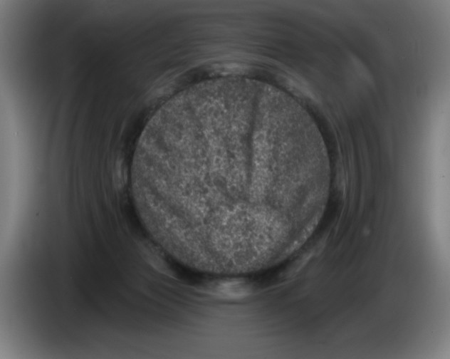 X0000085260173200703301840