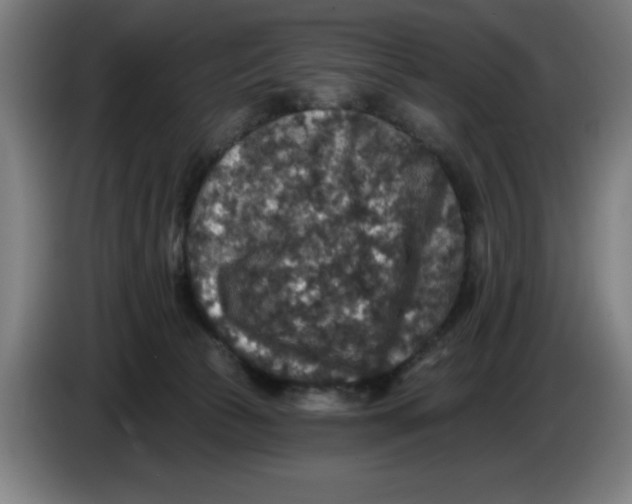 X0000085260177200703301840