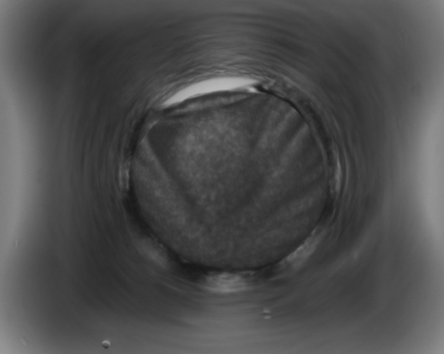 X0000085260180200703301840