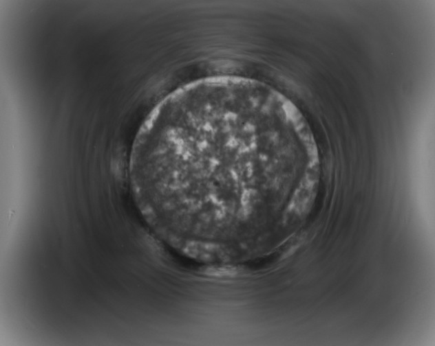 X0000085260181200703301840