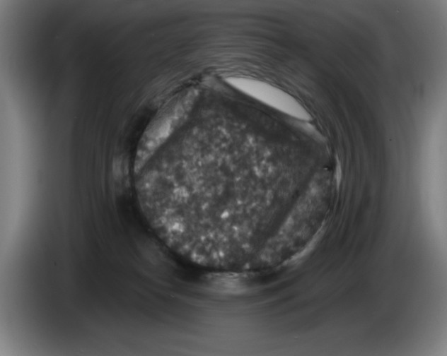 X0000085260182200703301840