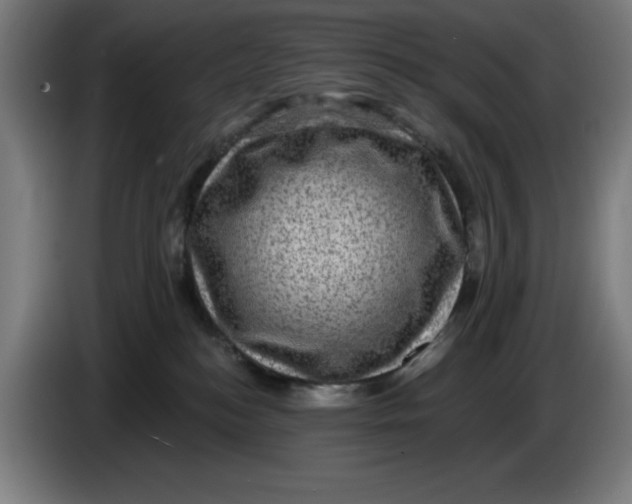 X0000085260184200703301840