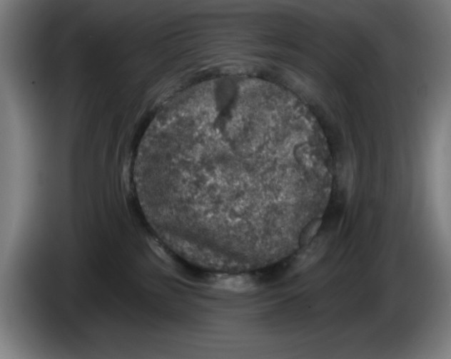 X0000085260185200703301840