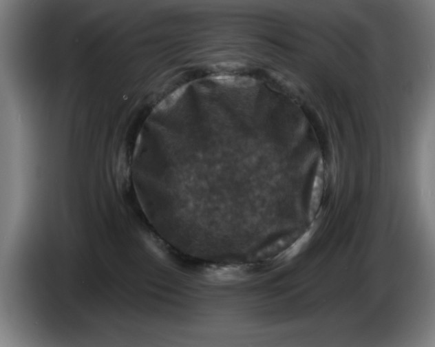 X0000085260186200703301840