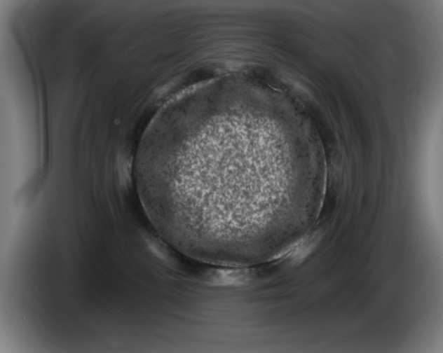 X0000085260188200703301840