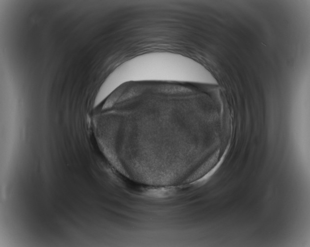 X0000085260190200703301840