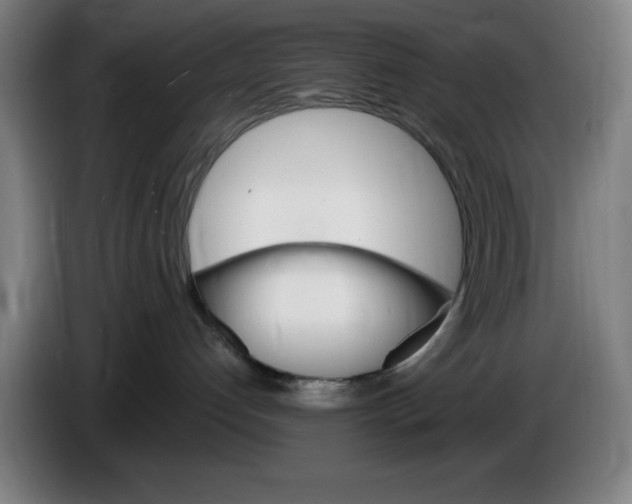 X0000085260192200703301841