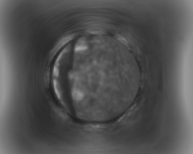 X0000085260194200703301840