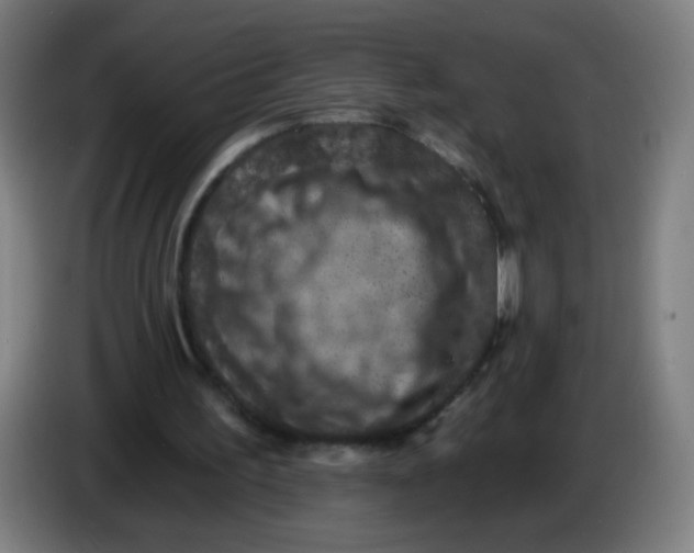 X0000085260195200703301840