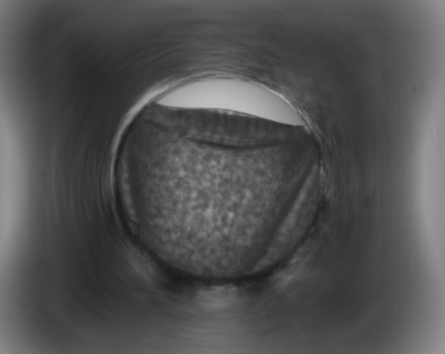 X0000085260196200703301840