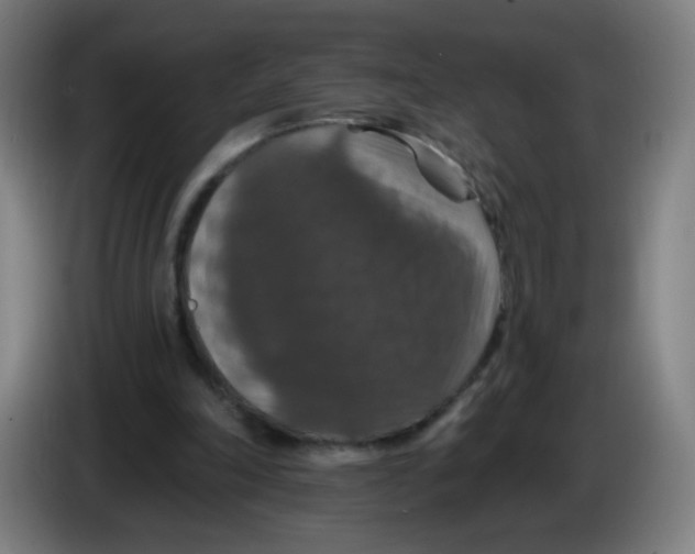 X0000085260198200703301840