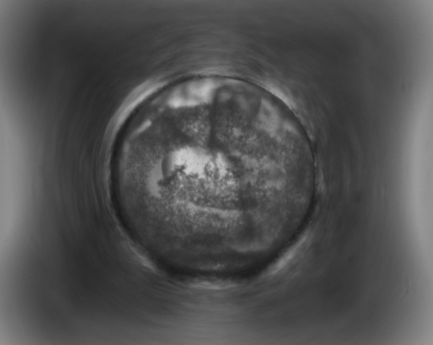 X0000085260199200703301840