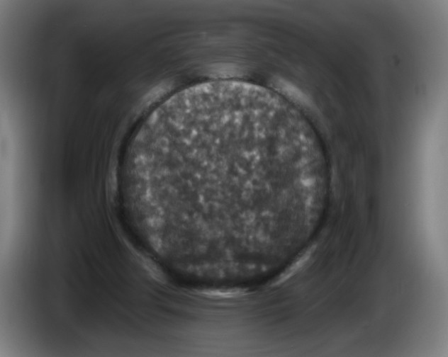 X0000085260202200703301840