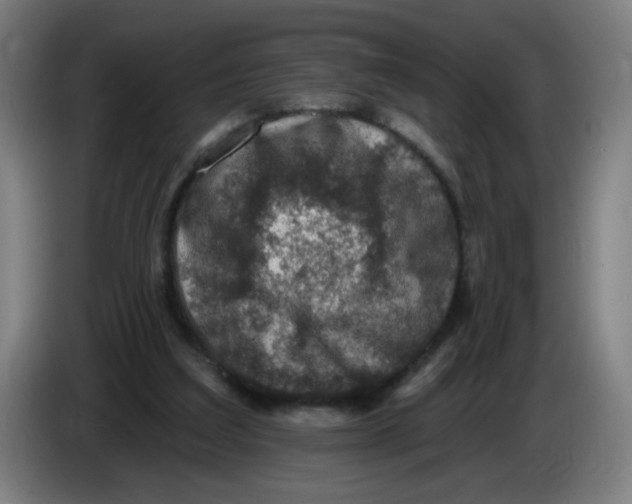 X0000085260203200703301840