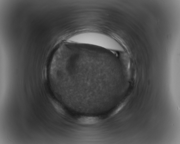 X0000085260205200703301840