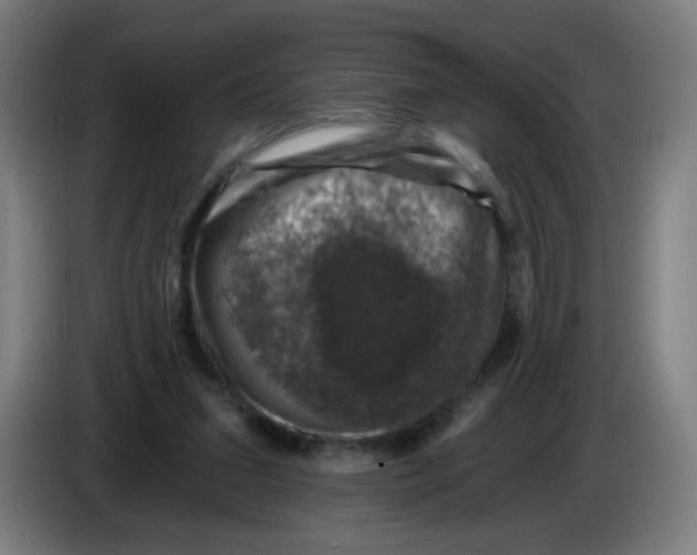 X0000085260207200703301840